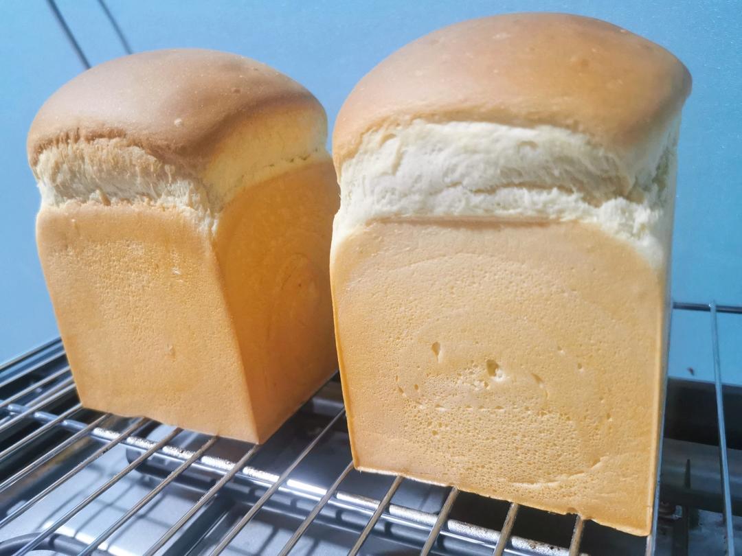 酸奶吐司（100%中种法）可以吃到酸奶的吐司