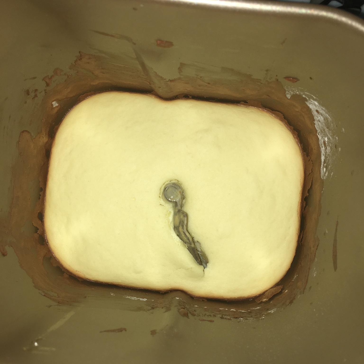 晚餐•2016年2月3日