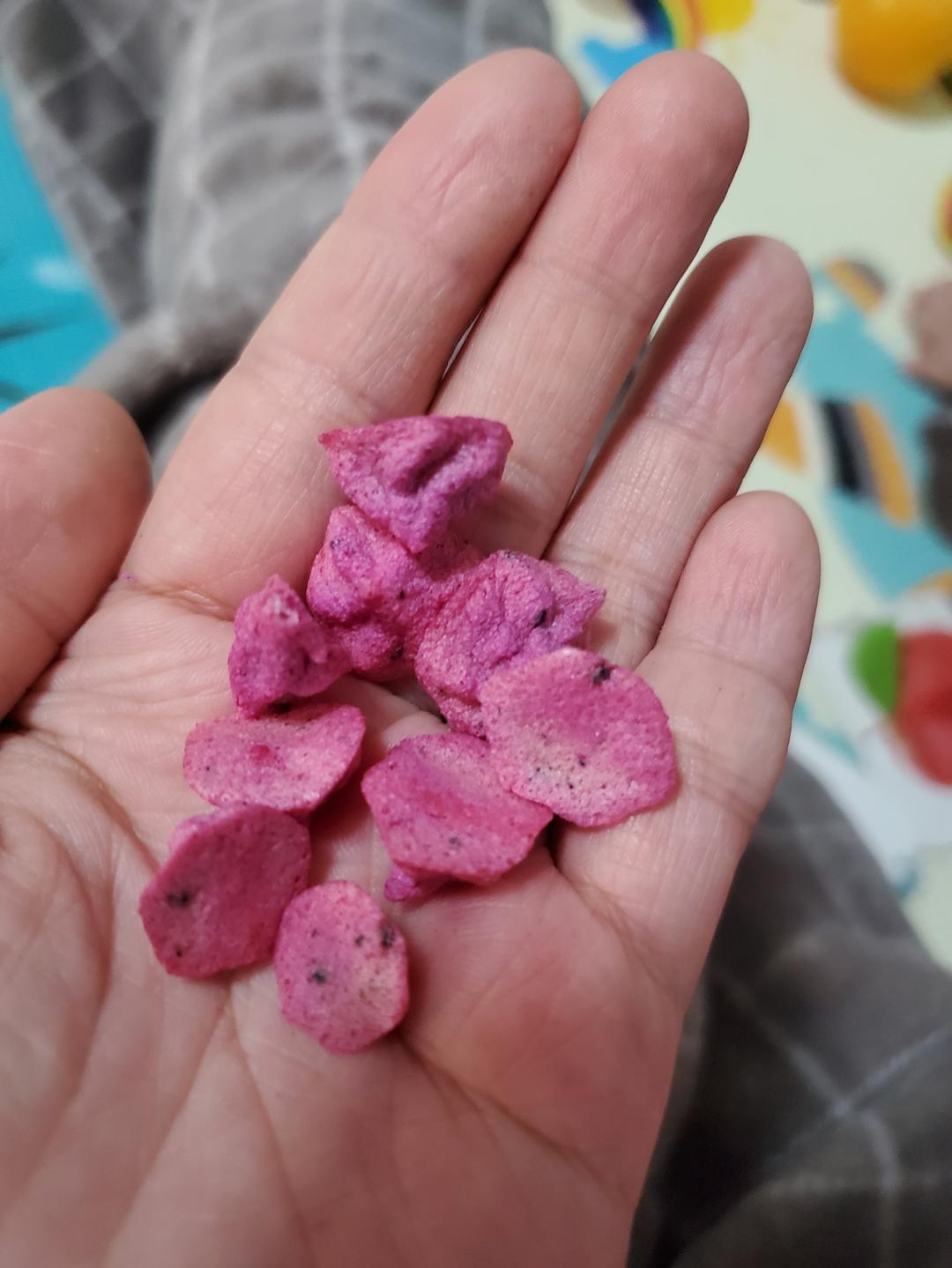 无糖溶豆 手工溶豆自制宝宝溶豆酸奶溶豆～各种水果味