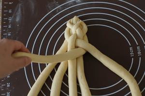 编织系列～六股麻花辫面包的做法 步骤13