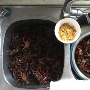 香辣小龙虾🍤最全小龙虾清洗步骤的做法 步骤2