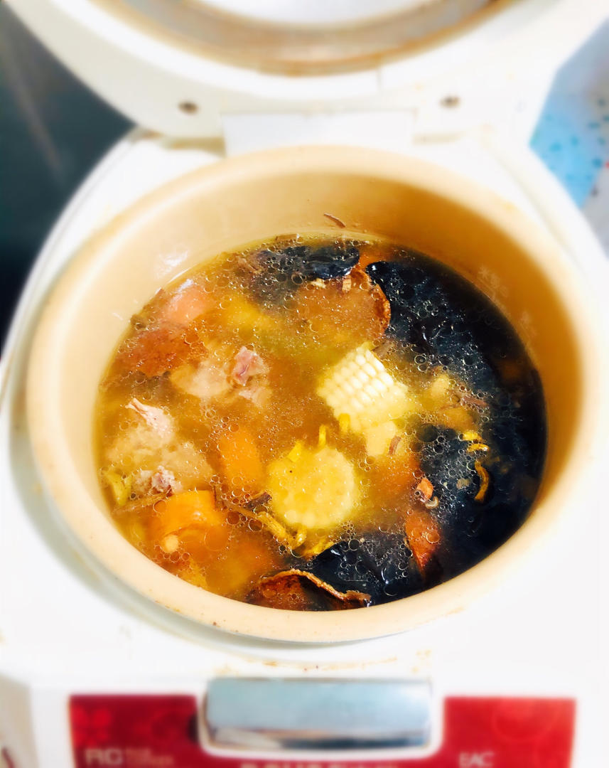 五指毛桃排骨汤