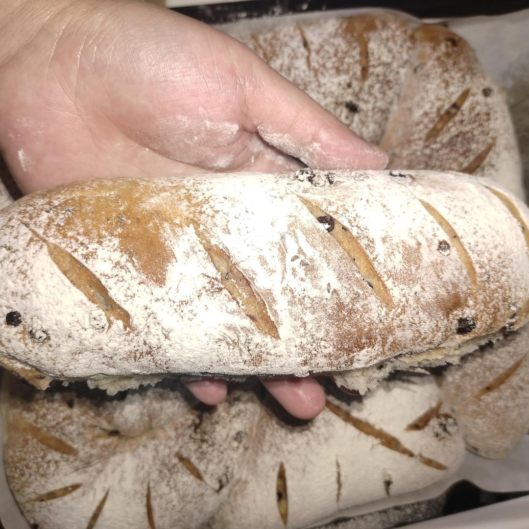 面包店里的常客——蔓越莓奶酪软欧