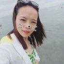 会飞飞飞鱼