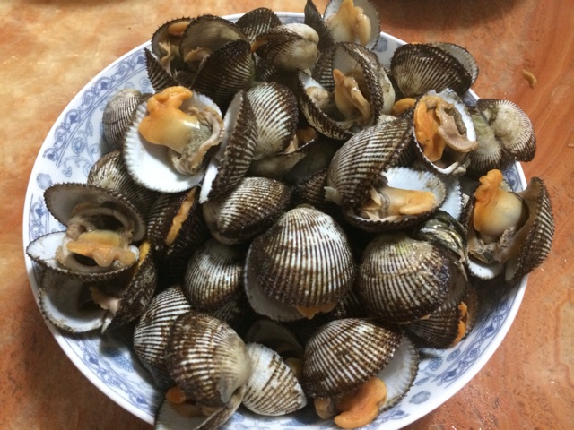 白煮毛蛤
