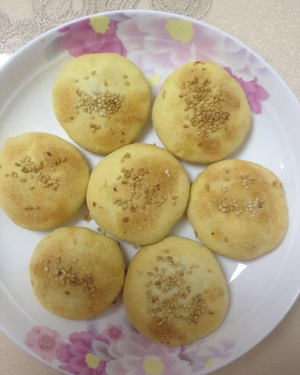 起床了小猫咪