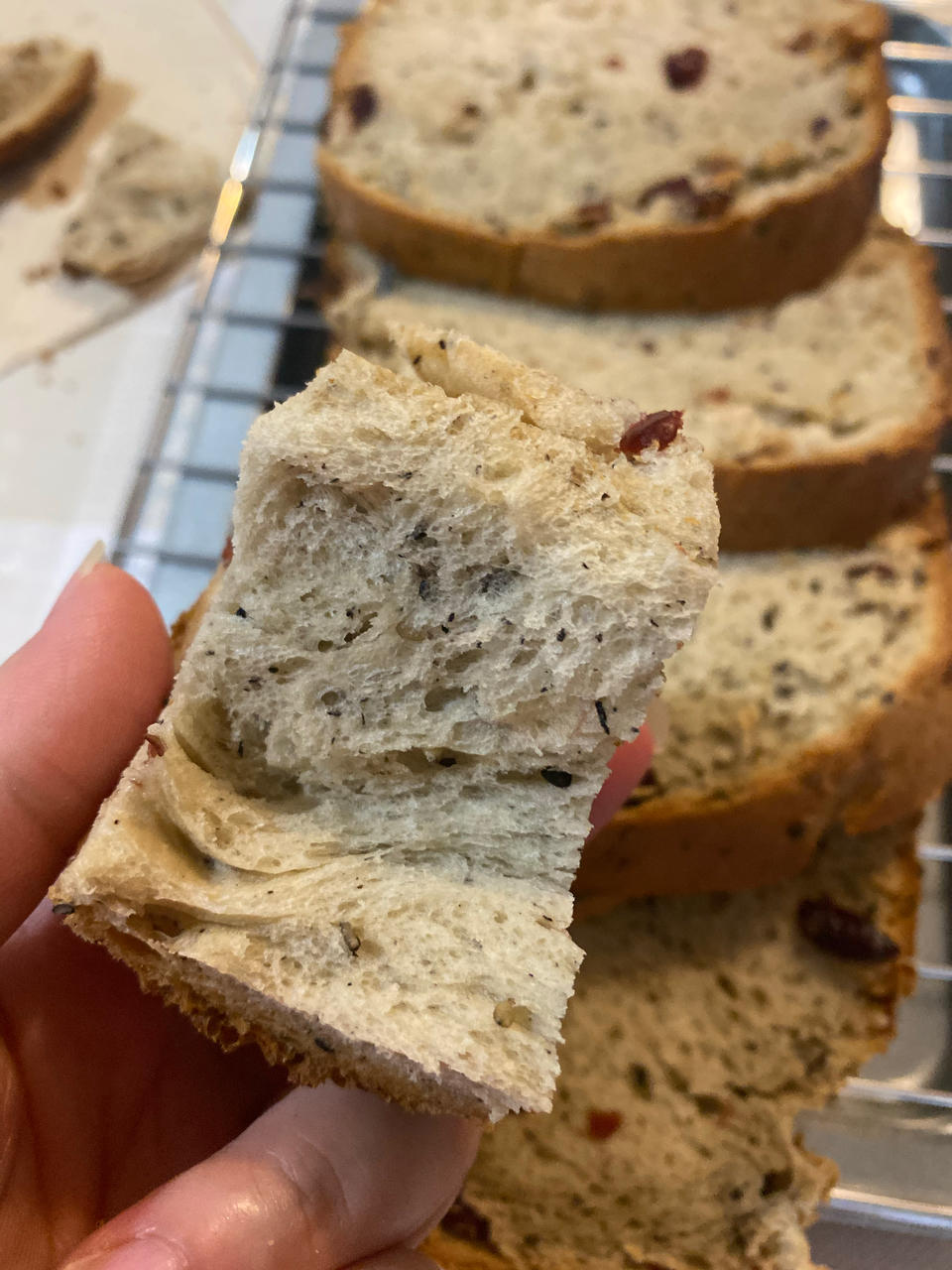 芝麻葡萄干吐司（东菱面包机）