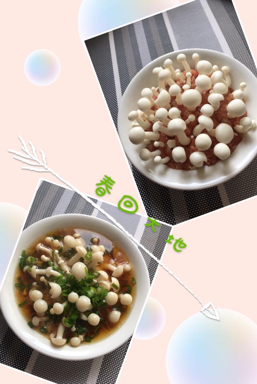 白玉菇肉饼（春回大地）