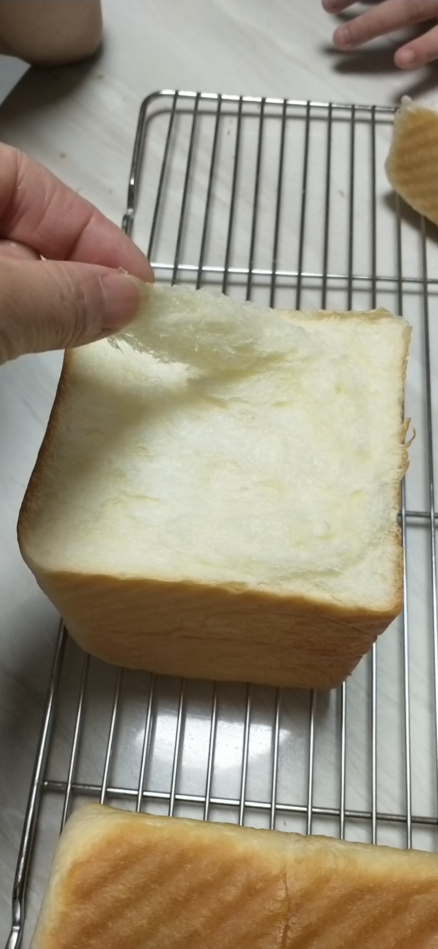 普通面粉面包