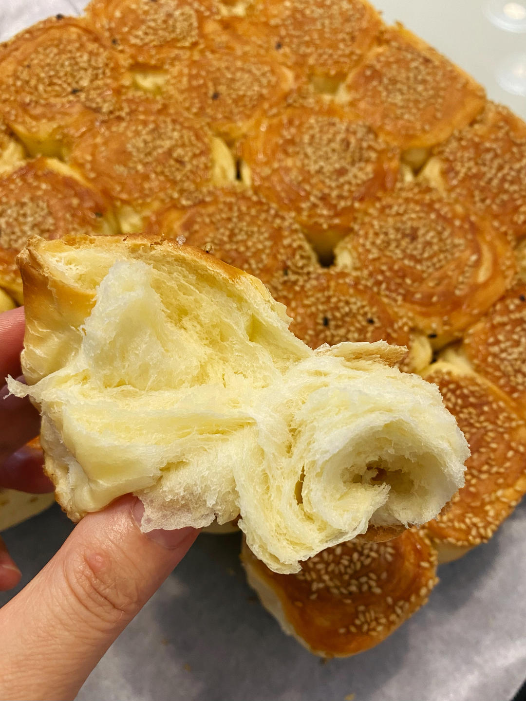 脆底蜂蜜小面包