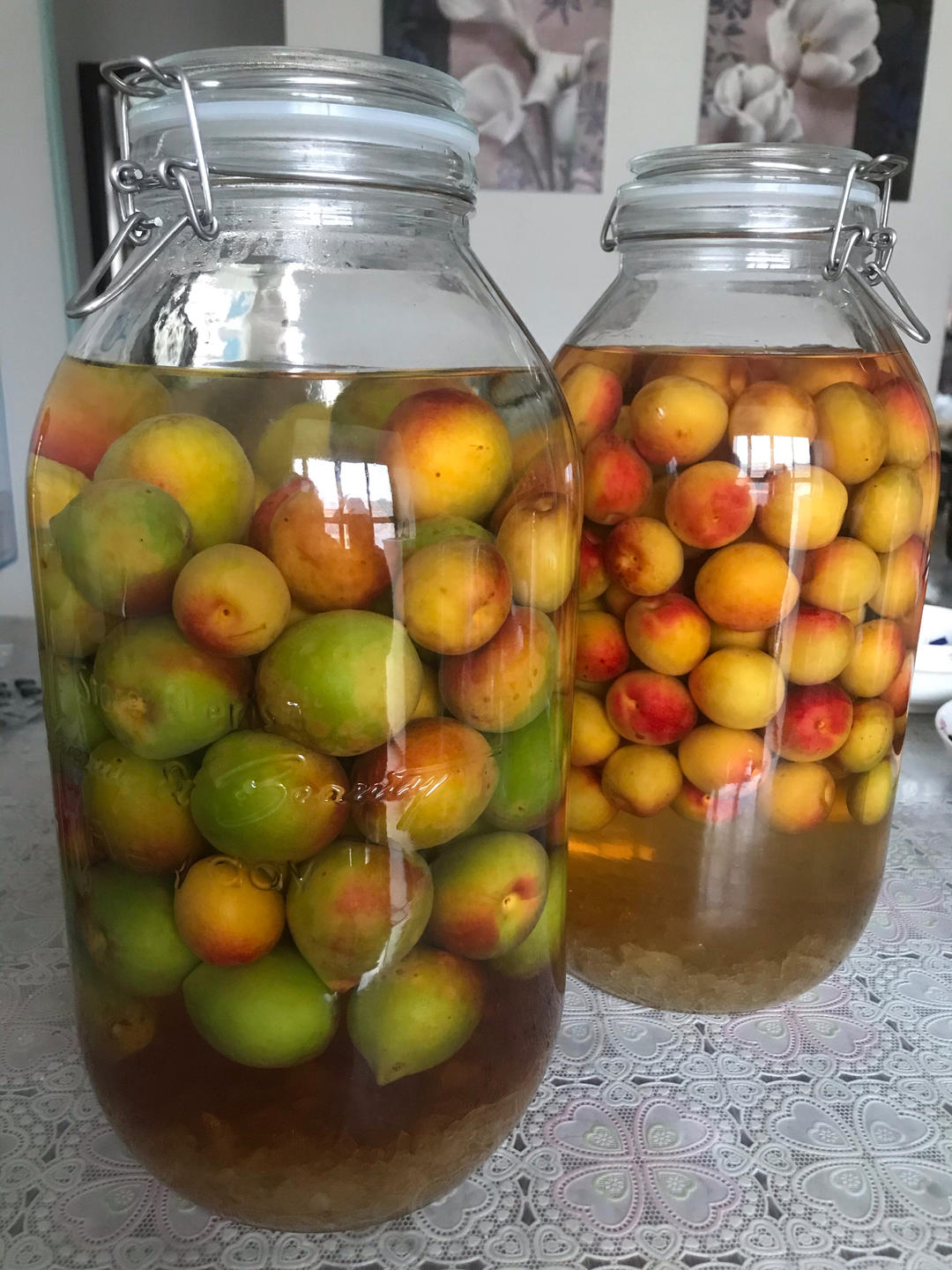 【青梅酒】梅子的沉醉时光（已填坑）