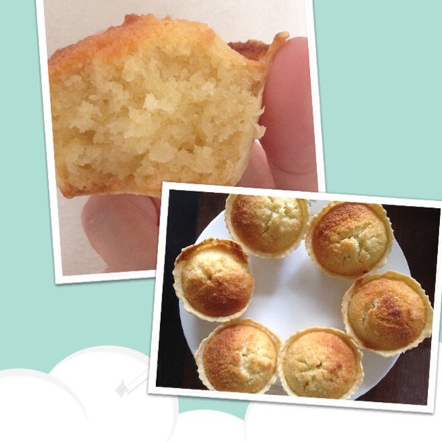 塔皮/派皮 Short crust pastry