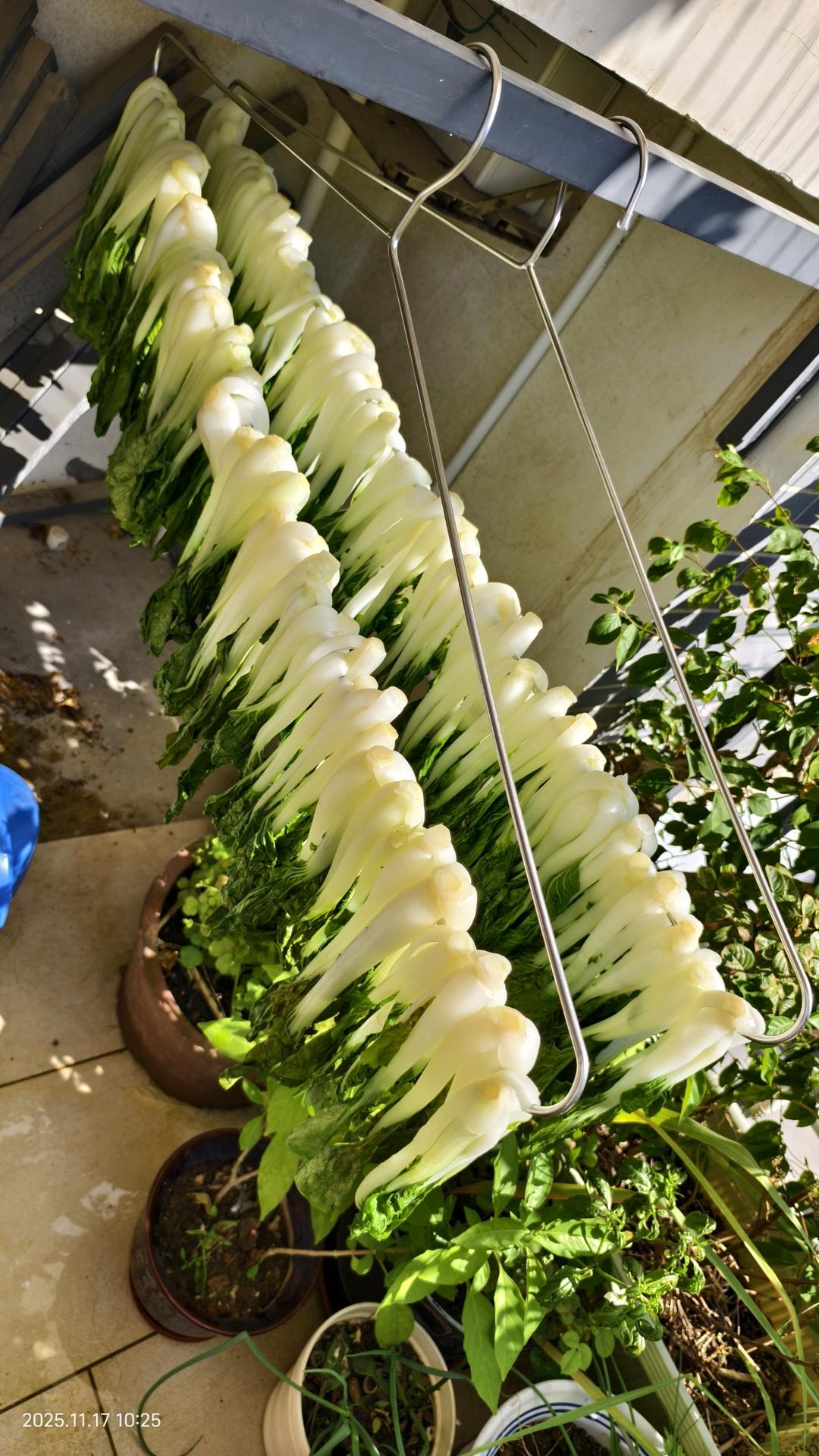 天气好好，晒点菜干吃吃