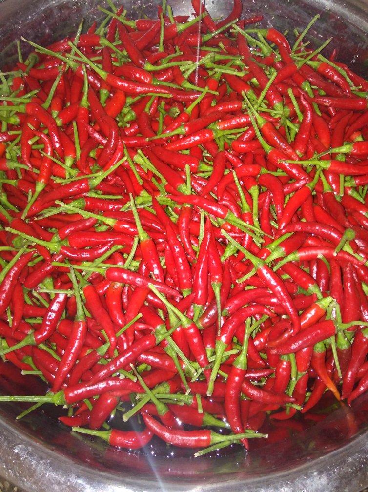 自制美味剁椒酱