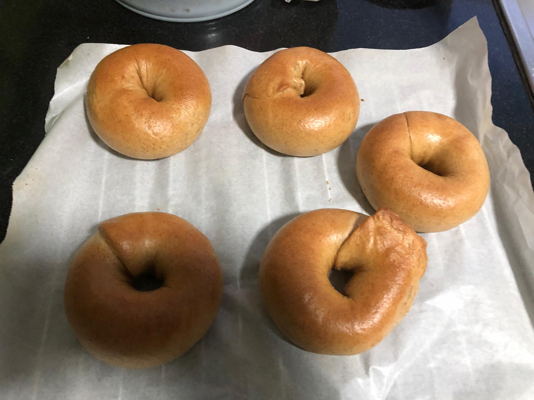 全麦贝果