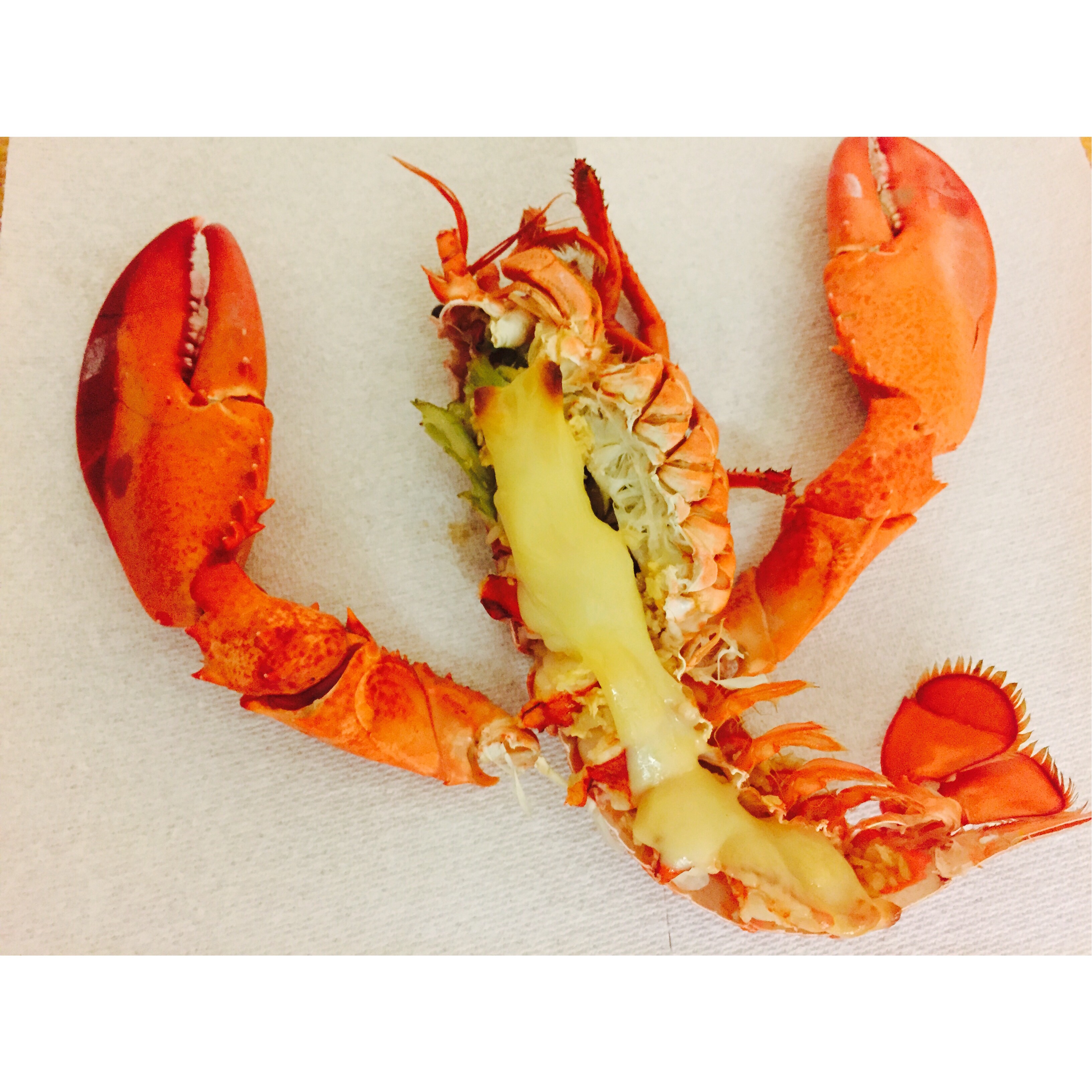 芝士焗龙虾-（简单做法）