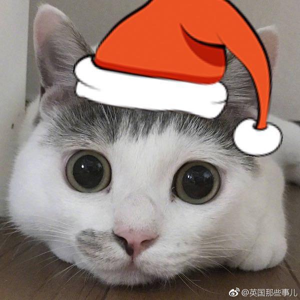 没事鸡蛋