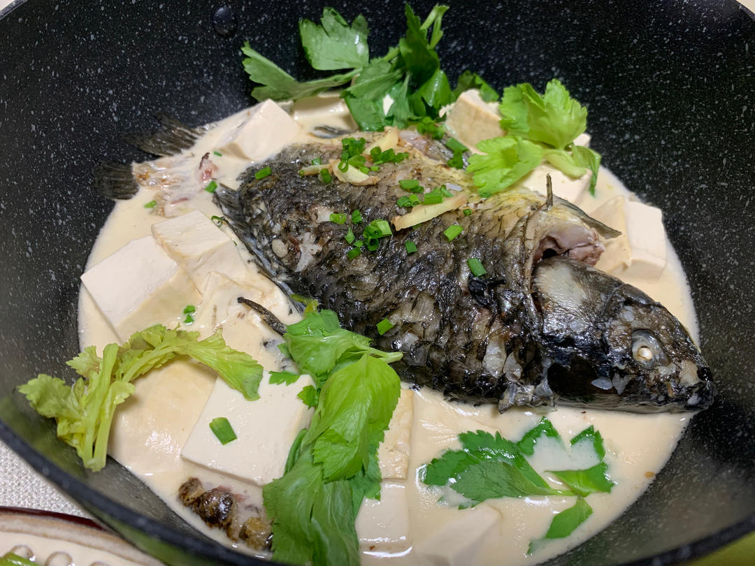奶白鲫鱼豆腐汤|一条鱼最后的温柔