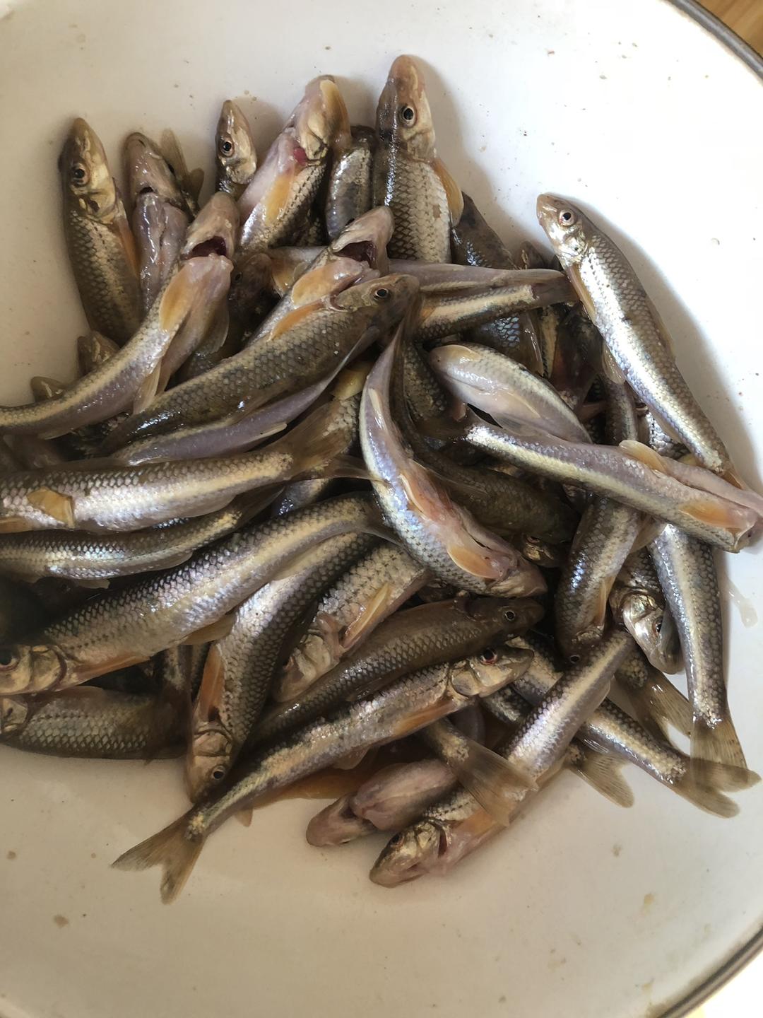 香煎川丁子鱼的做法 步骤2