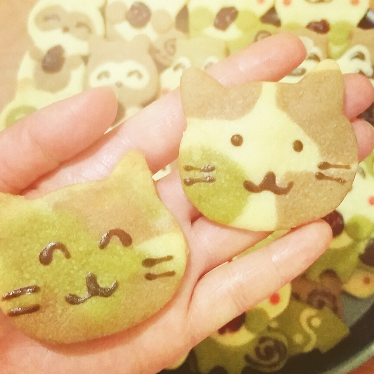 三花猫饼干