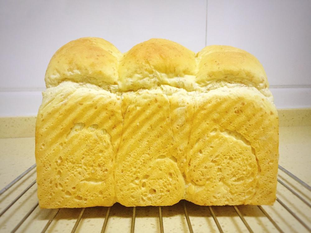 全麦吐司（70%冷藏中种法）