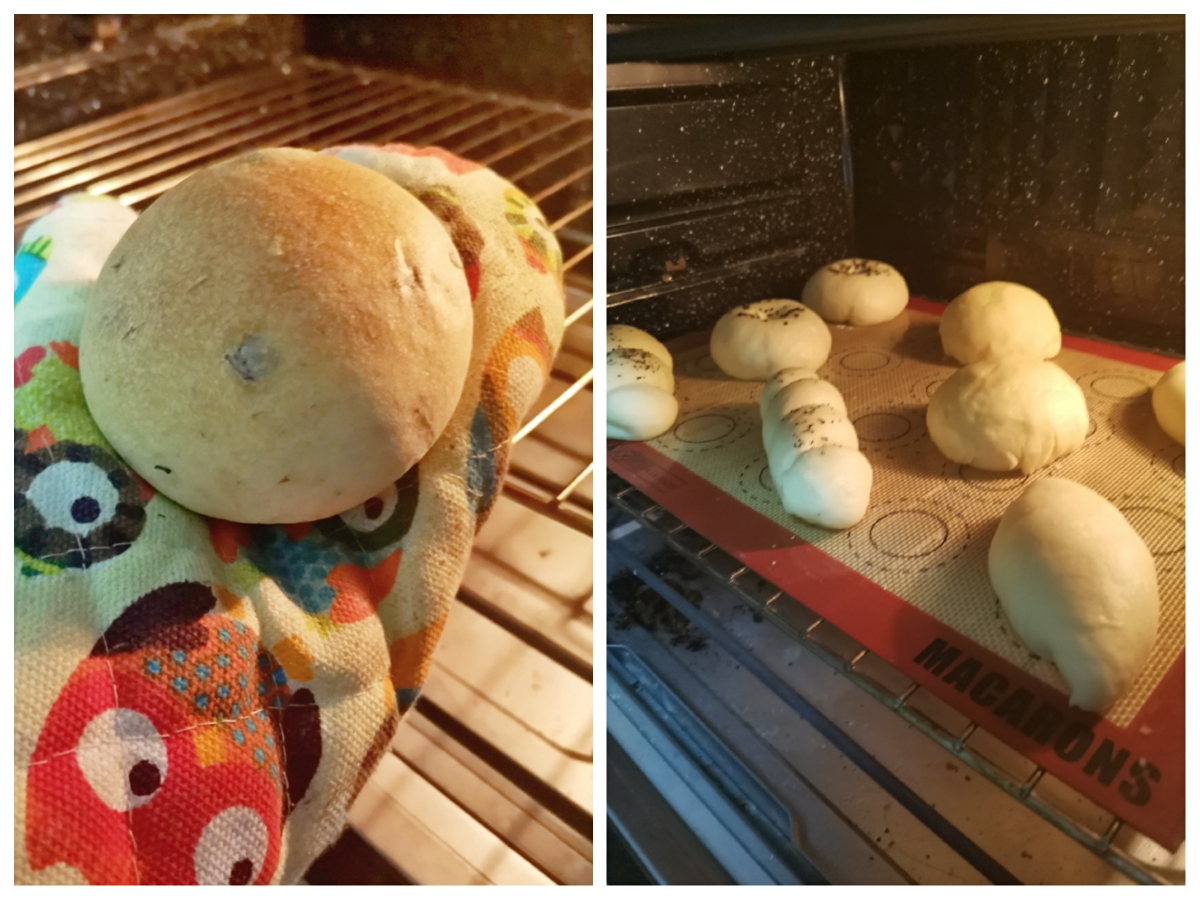 多用途日式基础甜面包胚--延伸3款面包的做法 步骤9