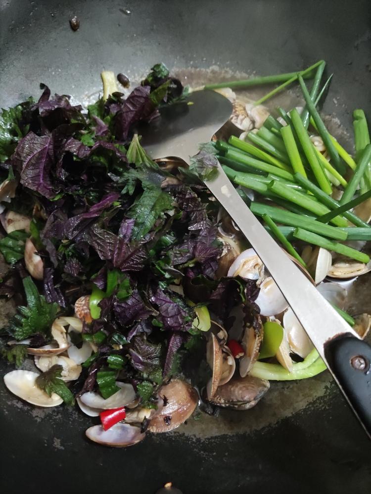 紫苏花甲的做法 步骤7