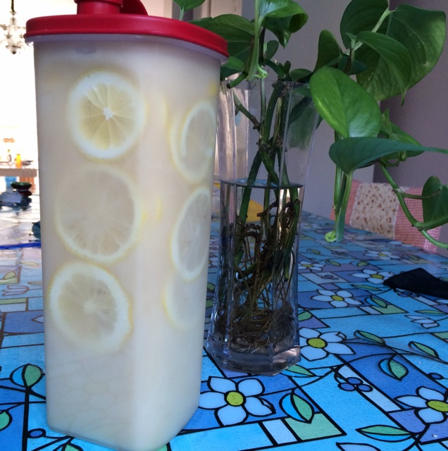美白排毒柠檬蜜