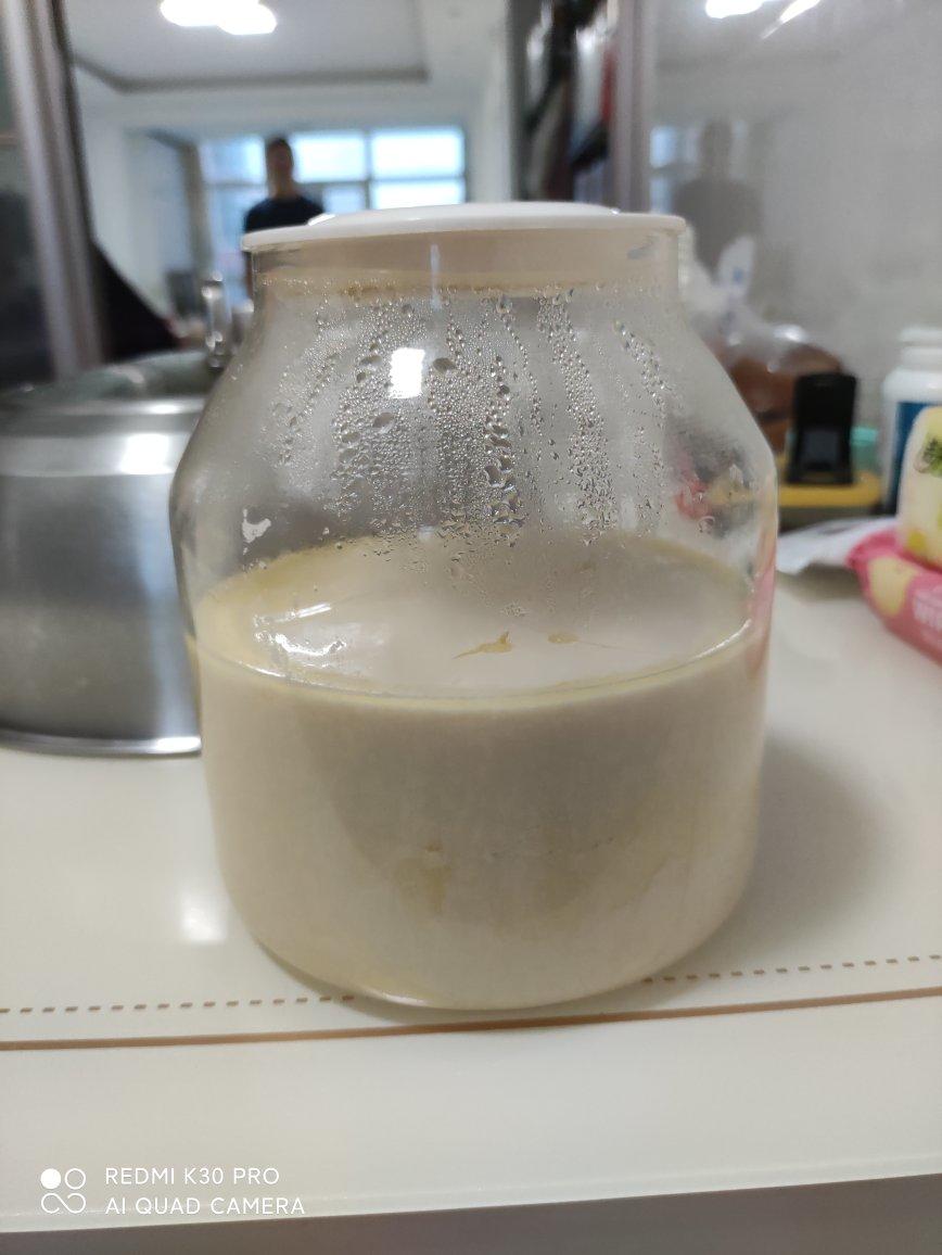 炭烧酸奶