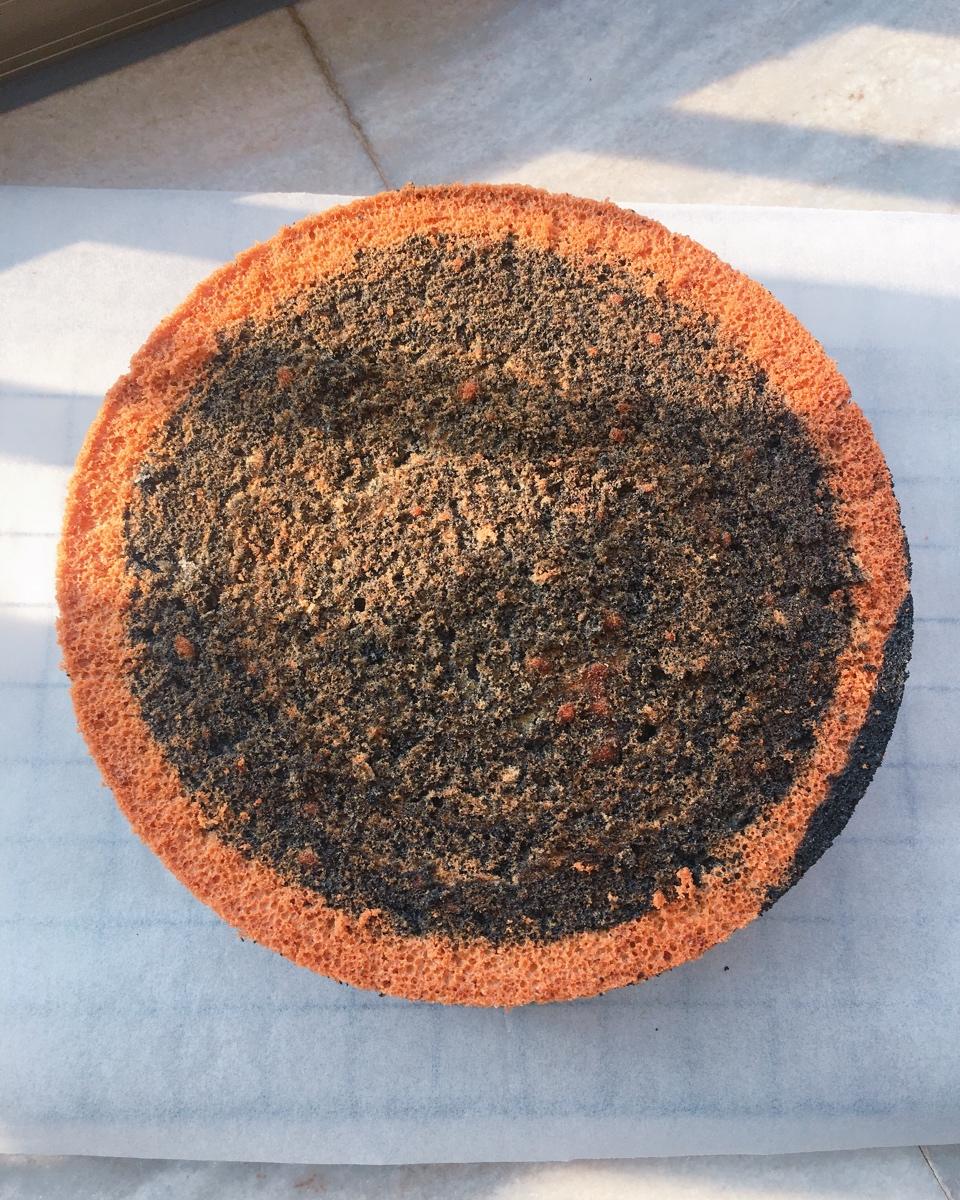 八寸戚风的成长记录