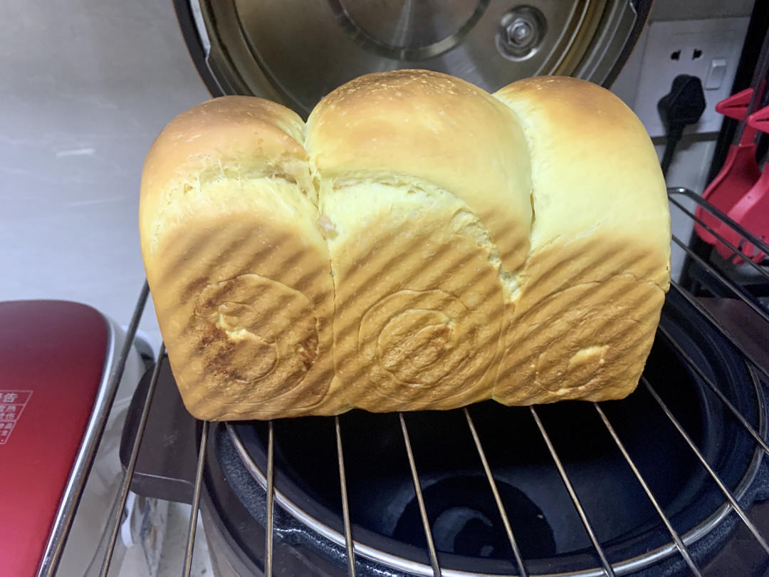 超级松软❗️一次发酵做好吃的❗️奶香手撕吐司