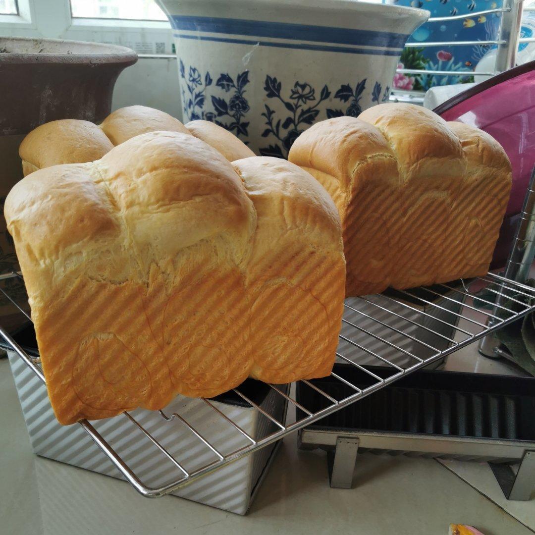 最好吃的牛奶吐司妃娟的100%中种北海道牛奶吐司奶油吐司