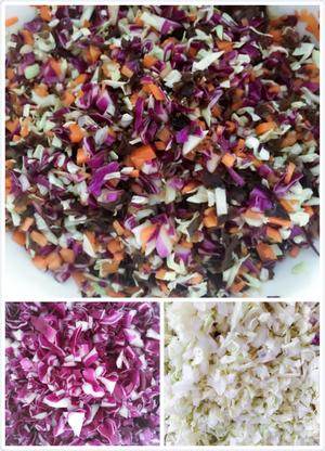 紫甘蓝素菜饺子的做法 步骤2