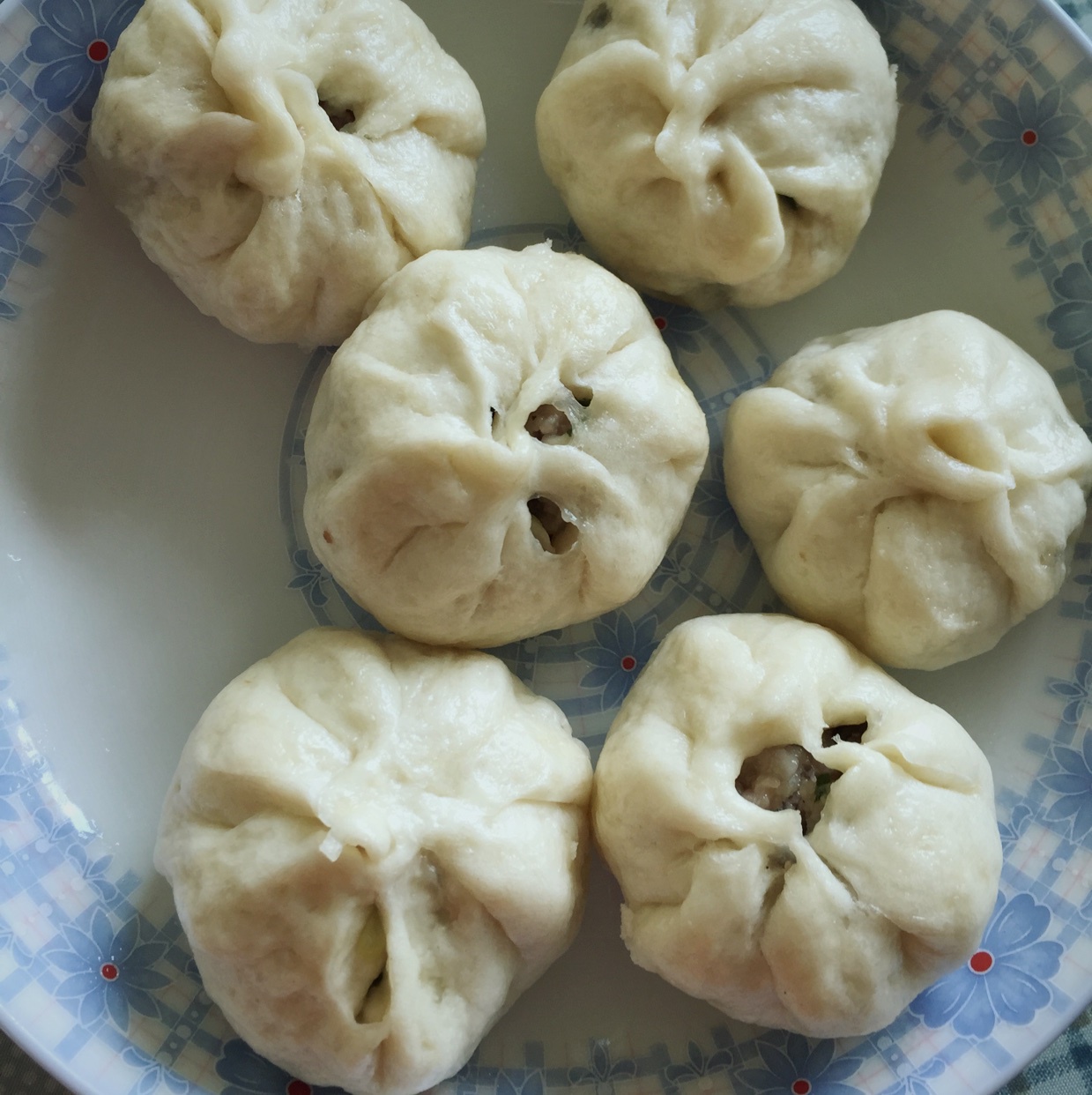 堂妈教你山菜鲜肉大包子