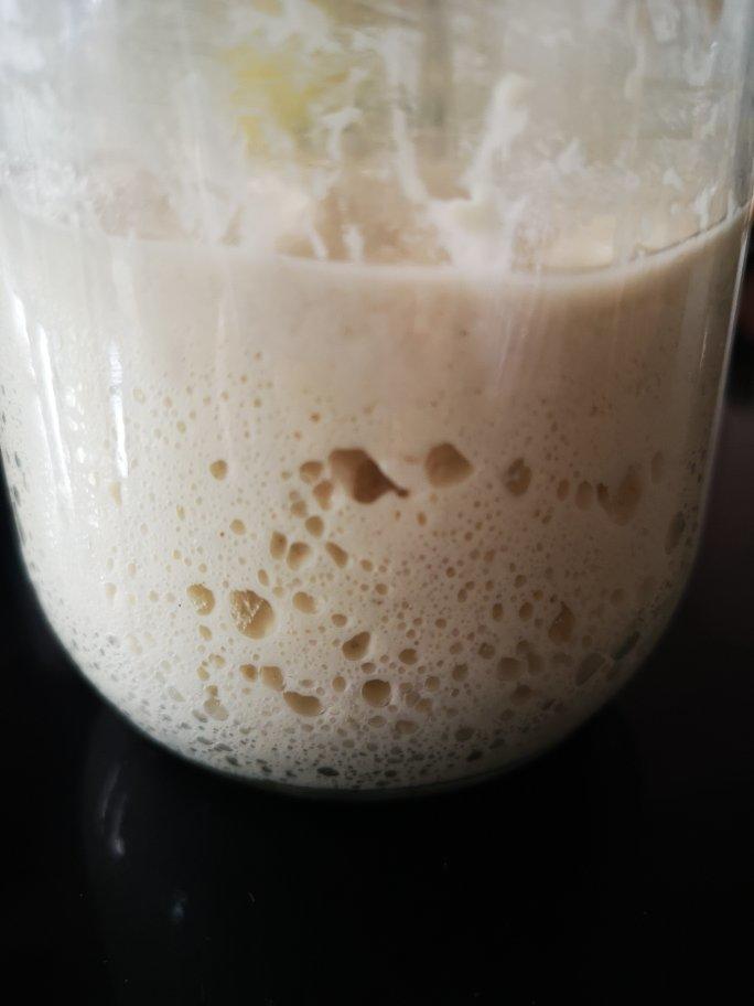 面包天然酵母培养使用全攻略                                           （葡萄天然酵种）