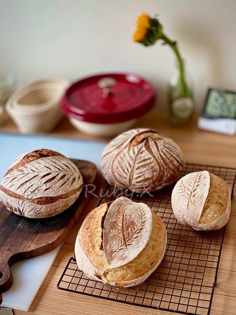 视频教程 天然酵种欧包 基础配方＆制作流程