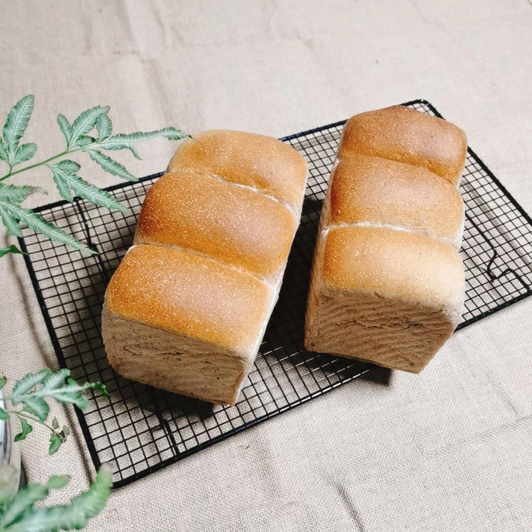 波兰种全麦吐司