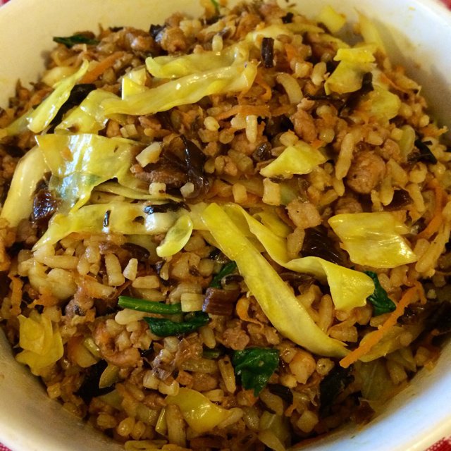 菀菀菀菀菀子酱做的芽菜肉末炒饭