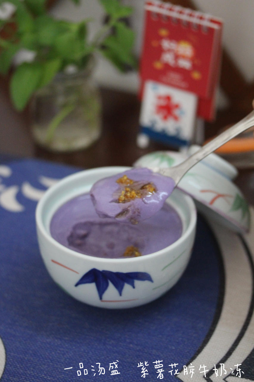 万物皆可花胶冻