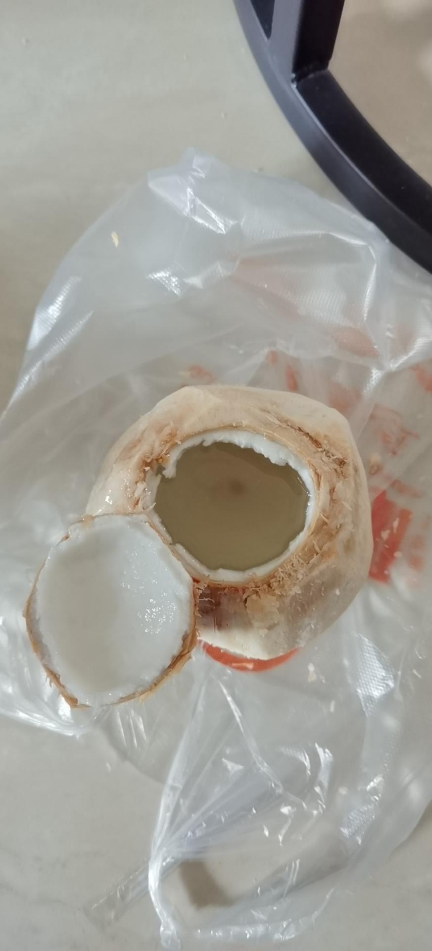 椰奶冻(椰子冻)附开椰子法