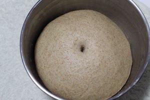 全麦面包里到底有多少全麦面粉？的做法 步骤2