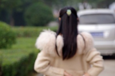 飞花丝语