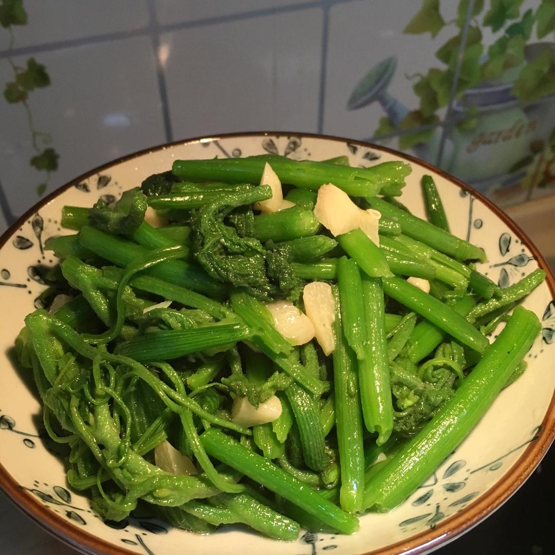 熊大熊二的小厨房做的蒜炒南瓜尖