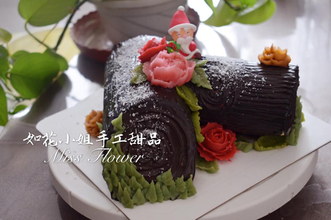 多肉植物花盆