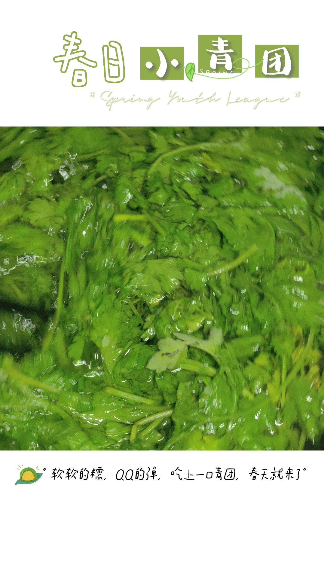 清明必吃的艾草青团