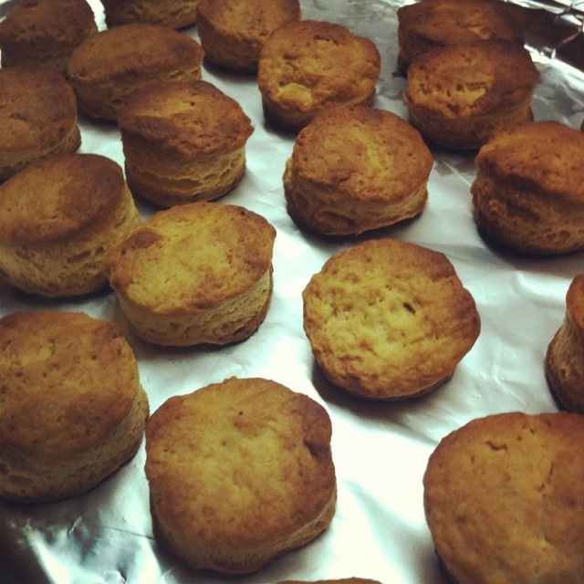 极简奶油松饼/Cream Biscuits（scones）