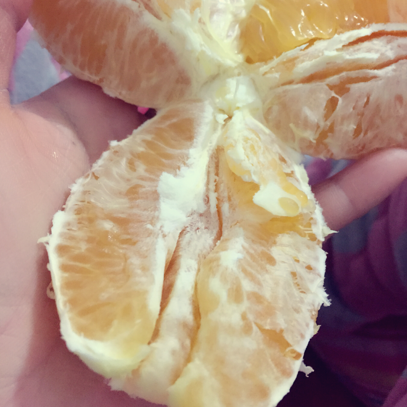泡芙小姐的厨房