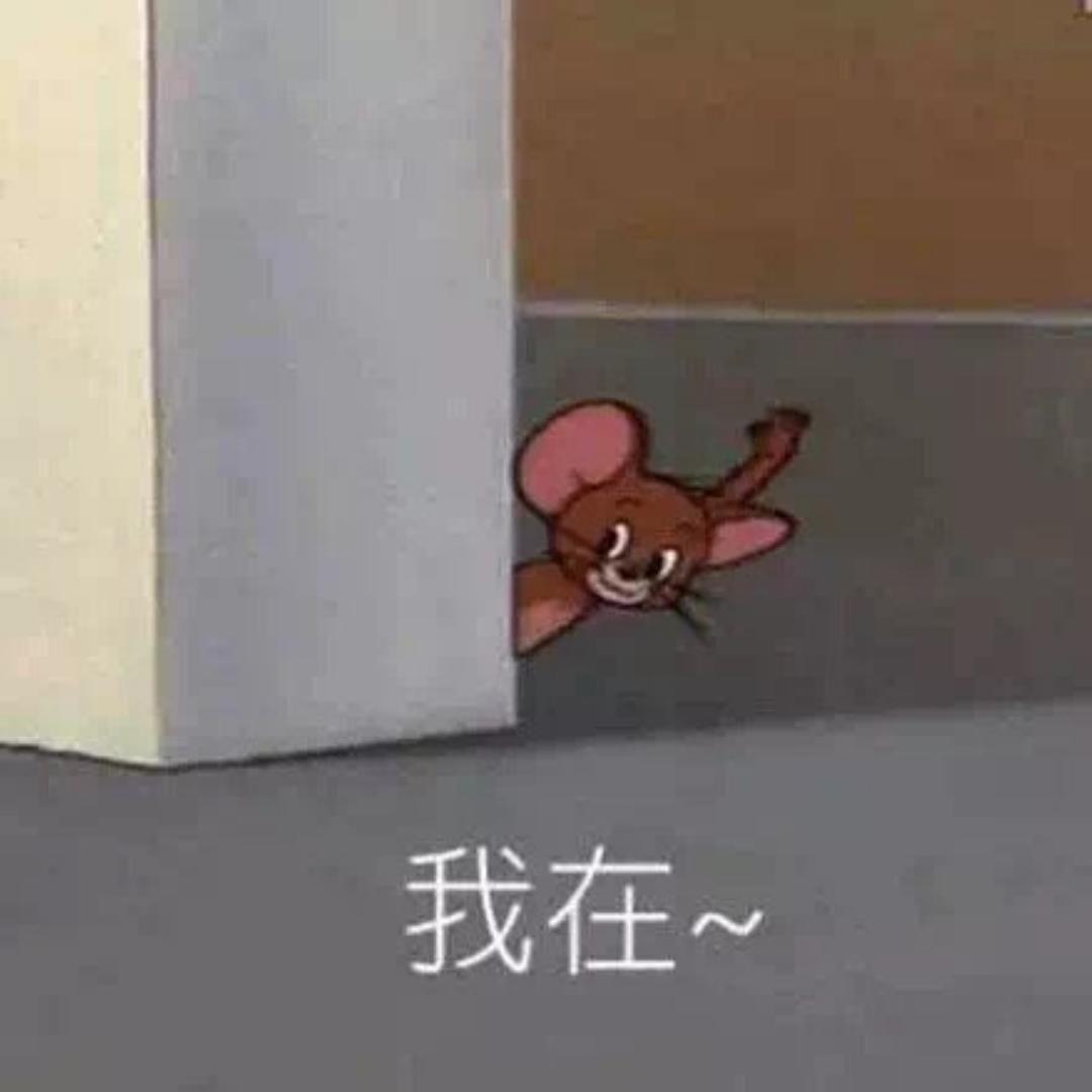 爱吃想瘦的小孔