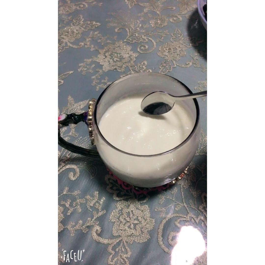 意式奶冻 panna cotta