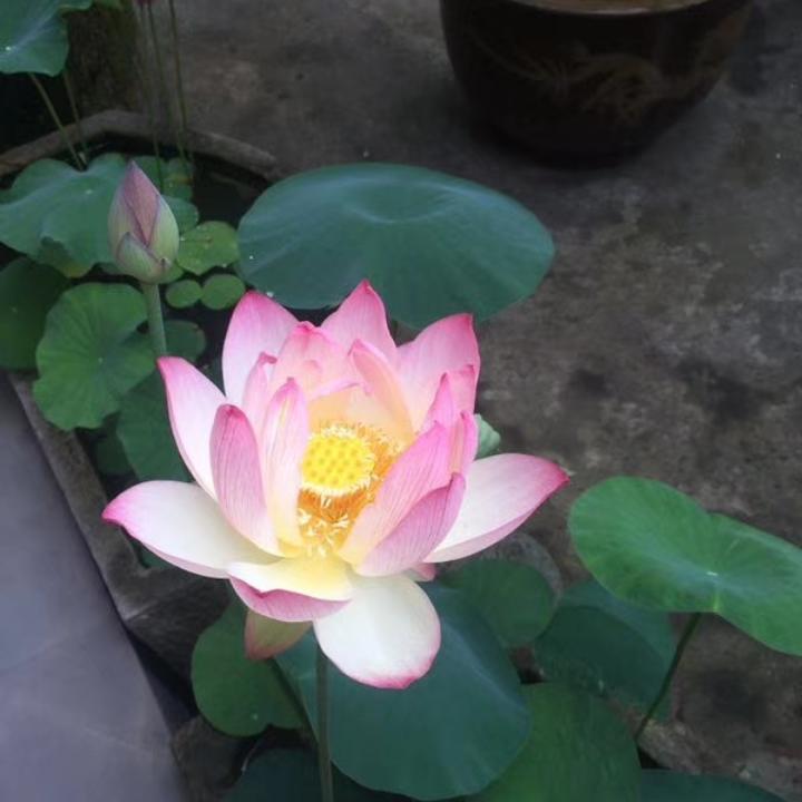 小红潭